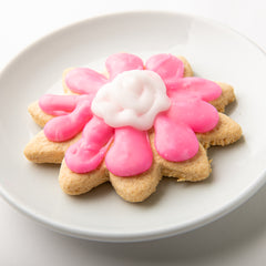Allergen Friendly Large Sugar Cookie