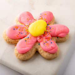 Allergen Friendly Large Easter Sugar Cookie