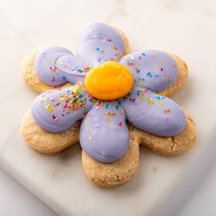 Allergen Friendly Large Easter Sugar Cookie