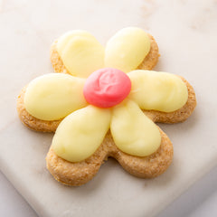 Allergen Friendly Large Easter Sugar Cookie